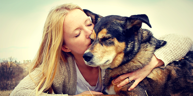 assurance chien formule Zen assurance chien formule Zen