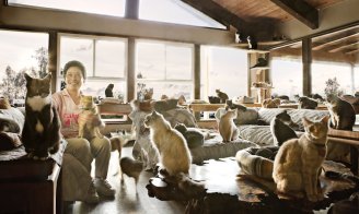 The Cat House on the Kings