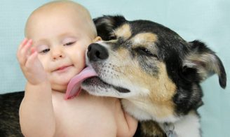 Les bienfaits d’un animal sur la santé de votre enfant