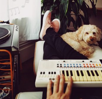 chien musique
