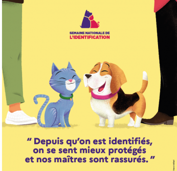 Identification ICAD