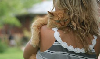 chat