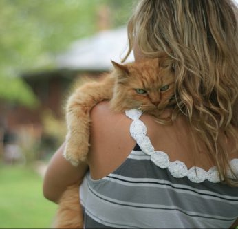 chat