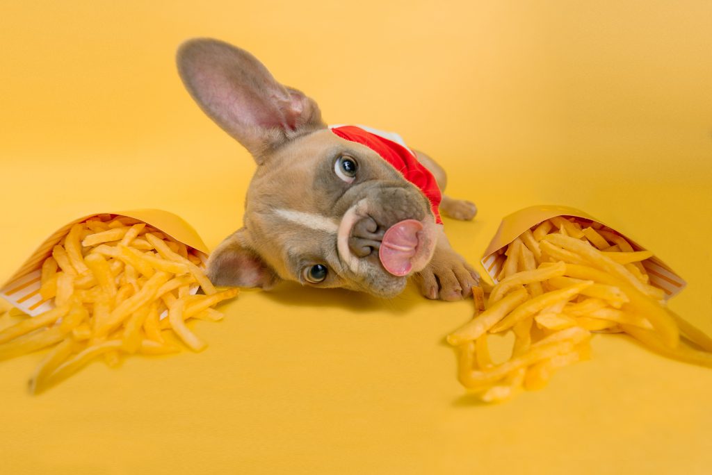 aliments
