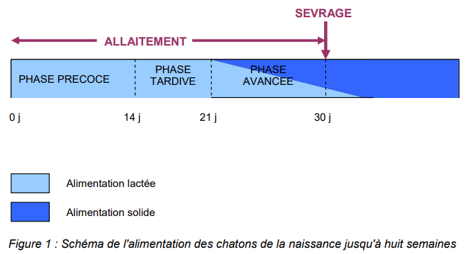 alimentaire