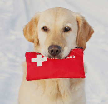 trousse de secours