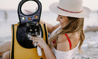 Chat voyage