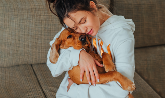 Rassurer son chien le soir du nouvel an