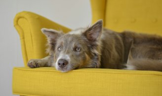 Checklist de la rentrée : 4 points essentiels