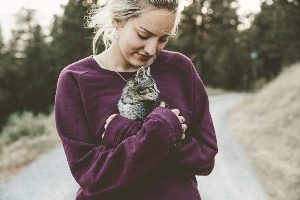 Formule Urgence Chat