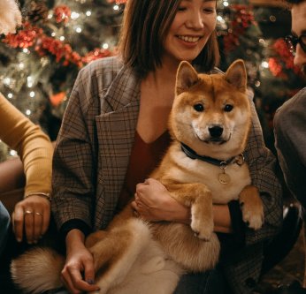 cadeaux chiens
