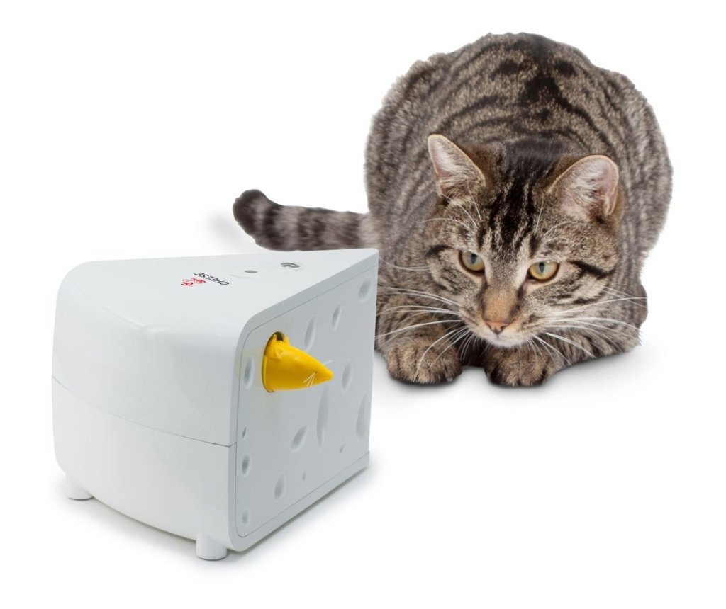 jouet chat