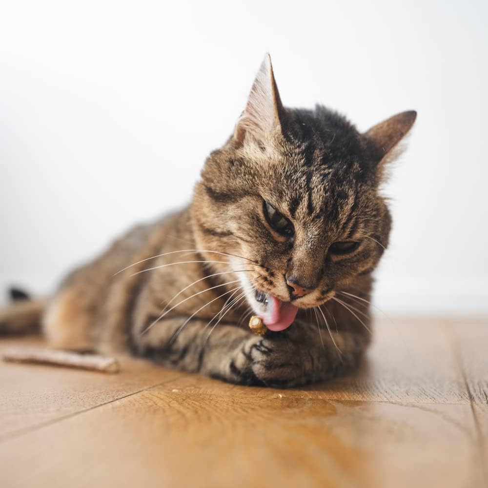 cadeau chat matatabi