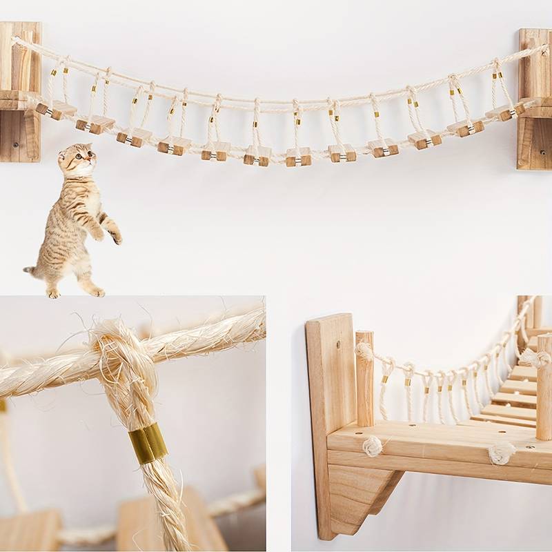 Pont chat