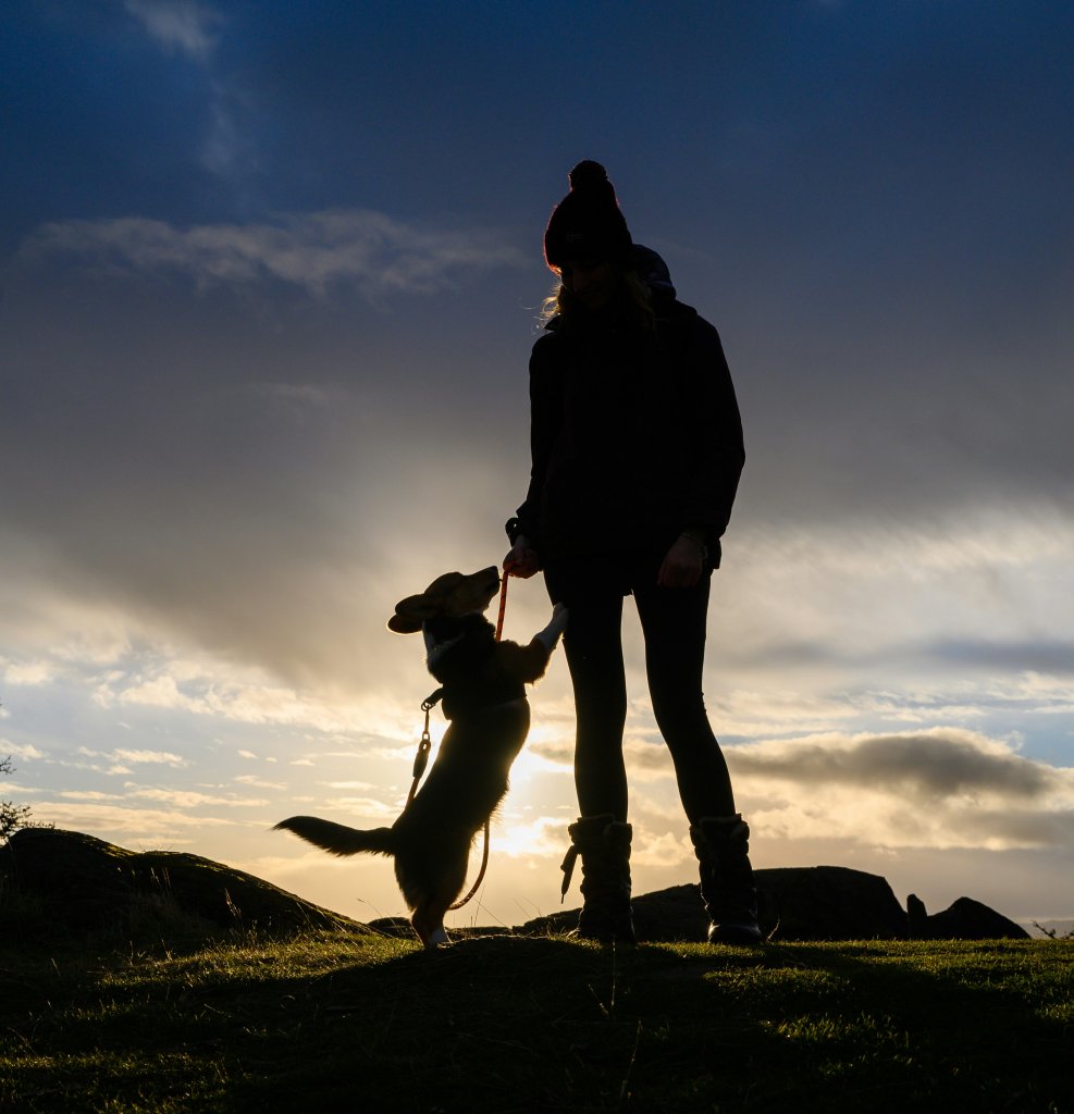 Les propriétaires de chien ont un cœur en meilleure santé