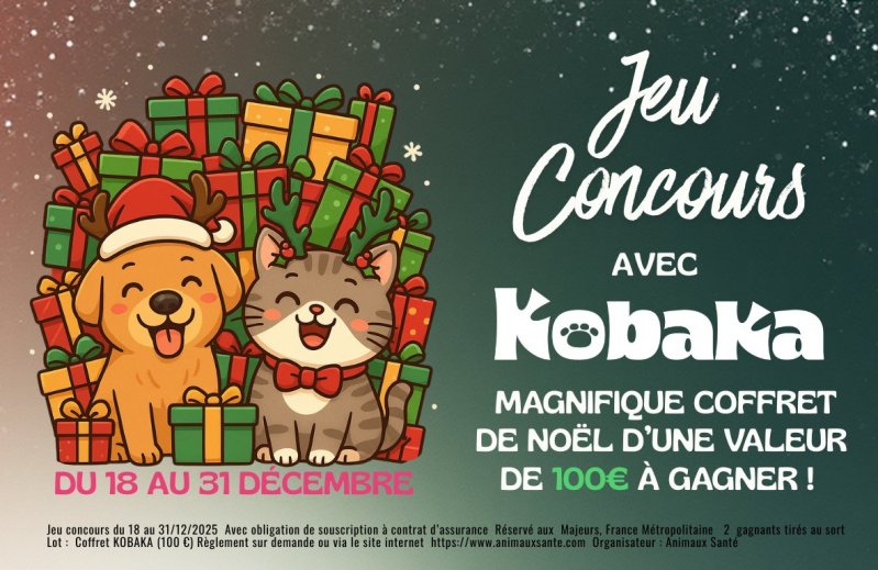 Jeu concours Kobaka 2025