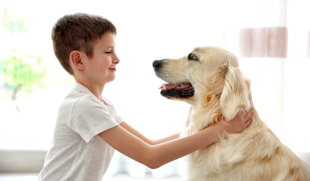 adoption