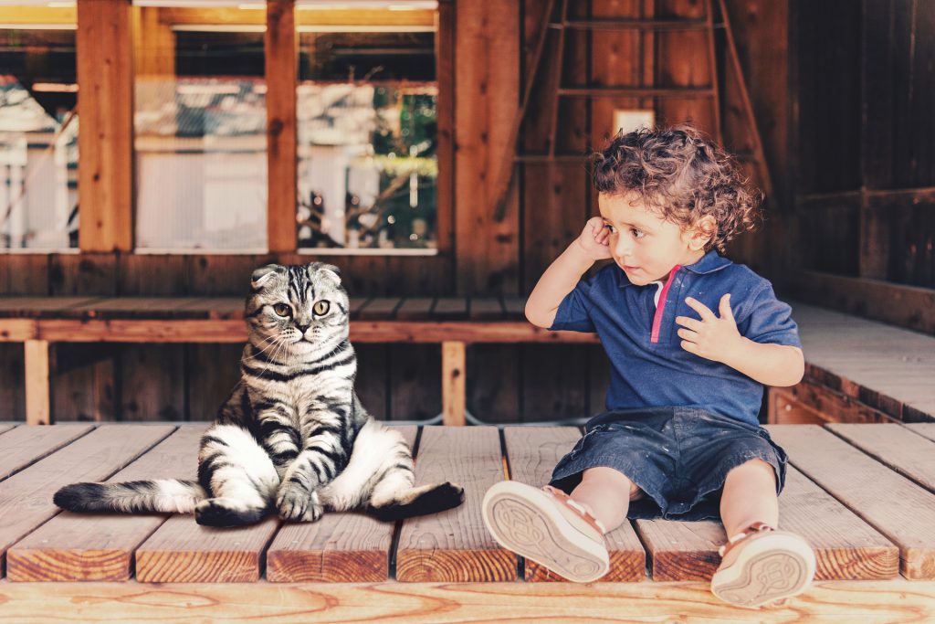 chat enfant