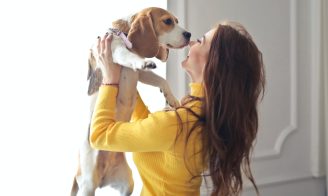 Rendre son chien heureux : 10 conseils
