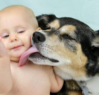 Les bienfaits d’un animal sur la santé de votre enfant