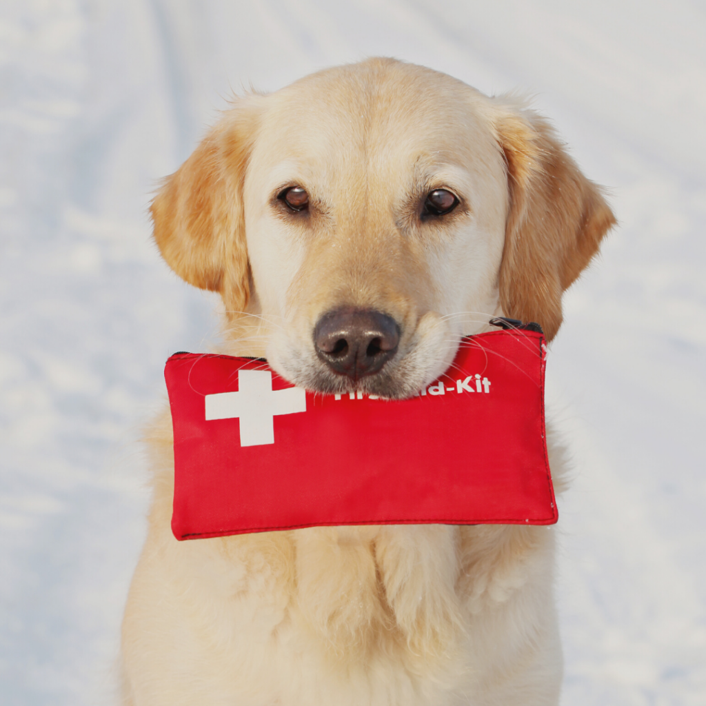 trousse de secours