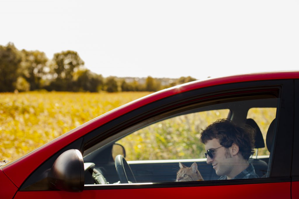 Chat et son maître en voiture