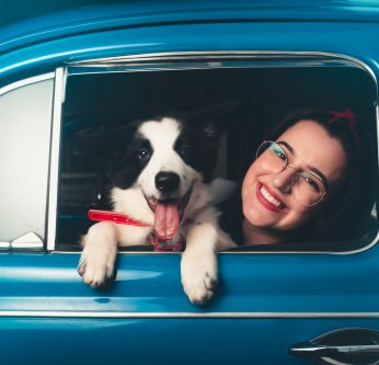 Femme en voiture avec son chien