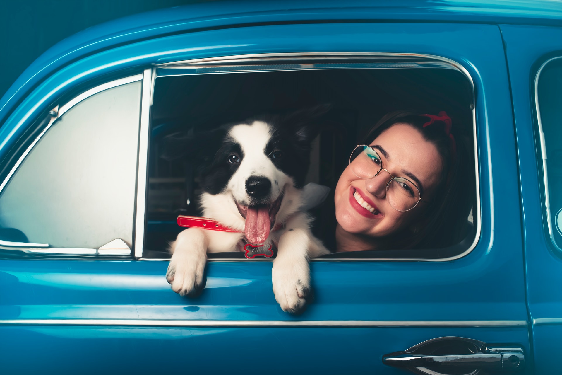 Femme en voiture avec son chien