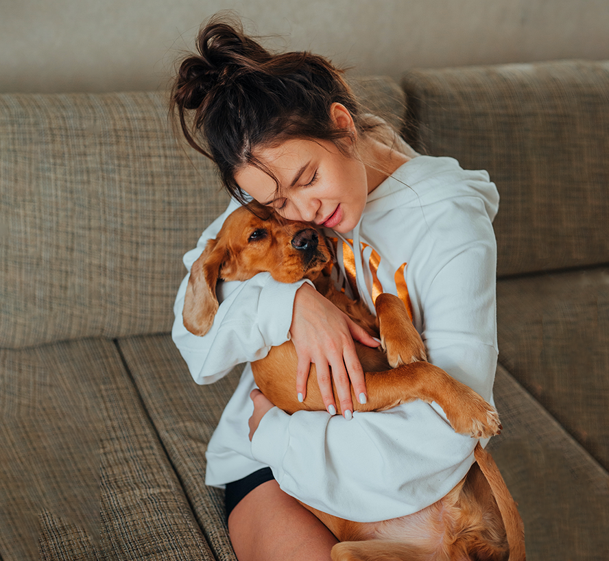 Rassurer son chien le soir du nouvel an