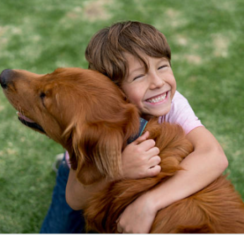 Les races de chien les plus adaptées aux enfants