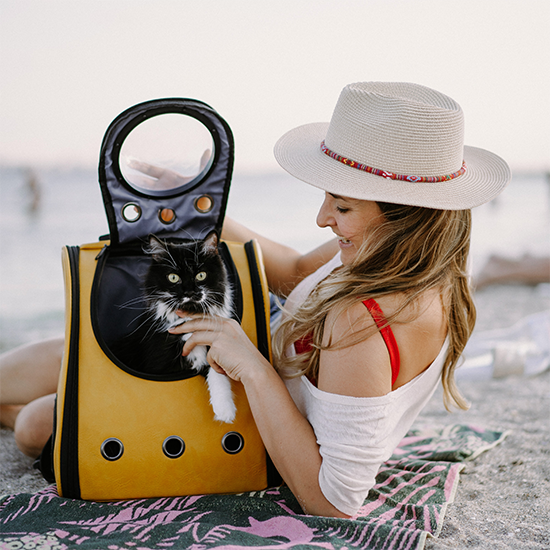 voyager avec son chat