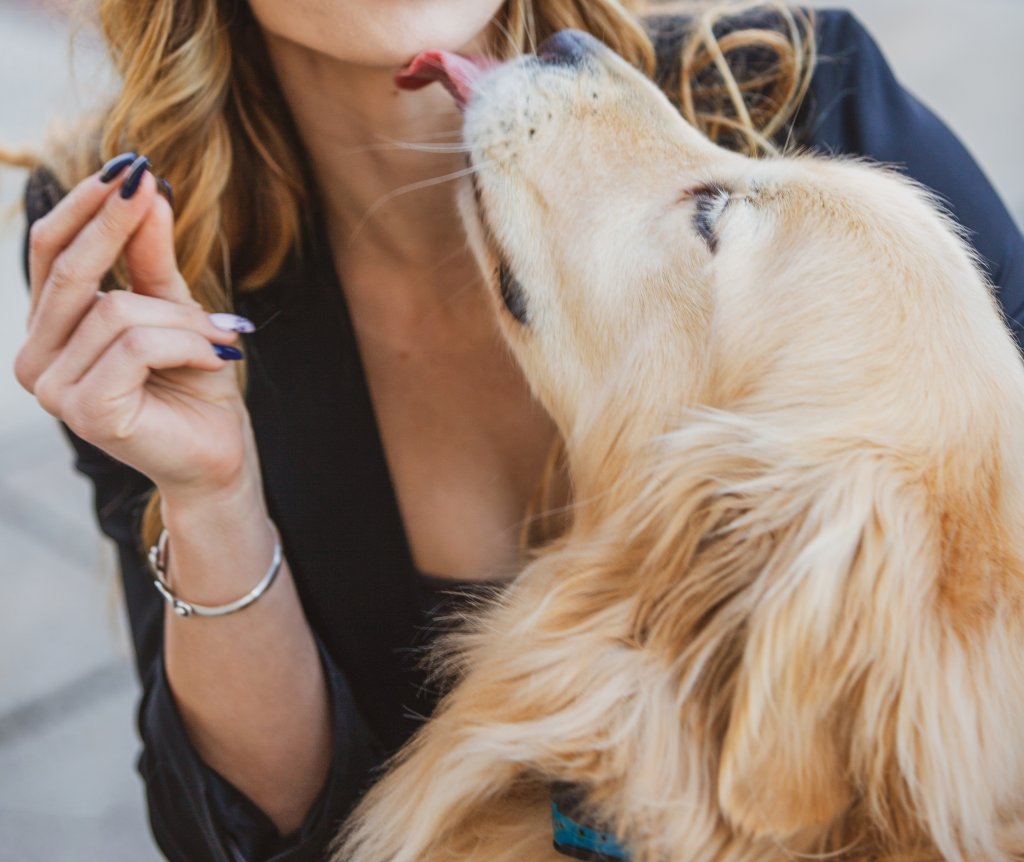 chien lèche sa maîtresse